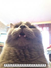 Мотоциклиста попытался сделать трюк на глазах у милиции