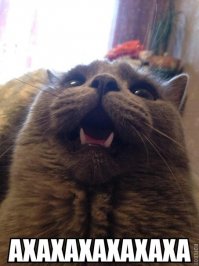 Мотоциклиста попытался сделать трюк на глазах у милиции