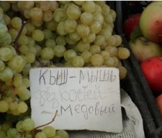 Куда делись кости у мыши?