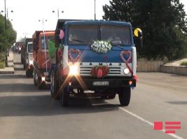 " Слышь  отец ! А  невесты в вашем  городе есть ?
 Так кому и кобыла  - невеста. "