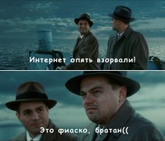 Вся жизнь фиаско, а ты в ней братан. Упавшая в ручей собака взорвала интернет
