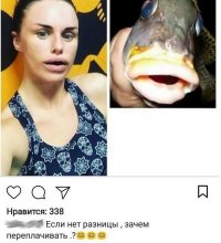 Она существует!!!!!!