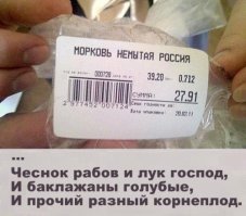 Мичуринские полигоны по созданию  новых продуктов