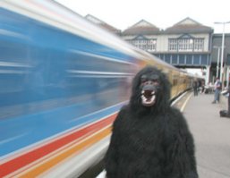 -Что будет если скрестить гориллу и негра?
 -Получится тупая горилла.