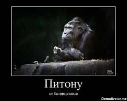 Мужчина сумел победить 7-метрового питона, нанёсшего ему ужасные травмы