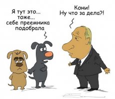 Вот пришел ты домой, а там сюрприз — твоя собака завела себе котёнка