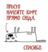 Как правильно воспитать кота