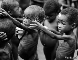 Они одобряют!