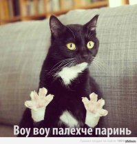 Как я калиточку на даче запилил
