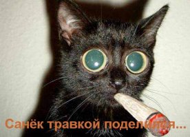"В хозяйстве пригодится..."