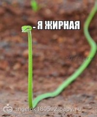 лапшу она штоль на ушах прятала?