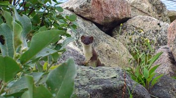 Сижу на рыбалке,а тут на тебе...