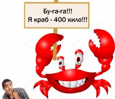 Капитан судна Northwestern Сиг Хансен рассказывал, что однажды спас жизнь видеооператора, вовремя на него прикрикнув, - иначе того раздавила бы туша 400-килограммового краба.