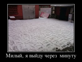 Смешные картинки с надписями