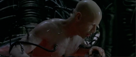 Фотоподборка за 05.10.2017