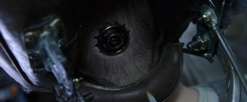 Фотоподборка за 05.10.2017