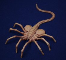 Фотоподборка за 05.10.2017