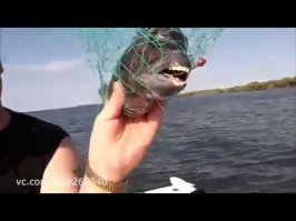 Его называли «мальчиком-кроликом», пока незнакомые люди не помогли ему