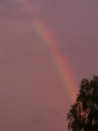 Из своего. Закат в глухой архангельской деревне