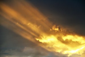 Классные карточки!
Тоже немного своего подкину, хоть не север, но Ленинградская область, Юго-Запад, Финский Залив