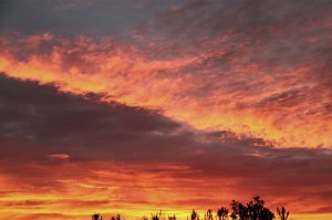 Классные карточки!
Тоже немного своего подкину, хоть не север, но Ленинградская область, Юго-Запад, Финский Залив