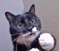 Говорю ему - лететь надо туда, а он не слушает!!!!