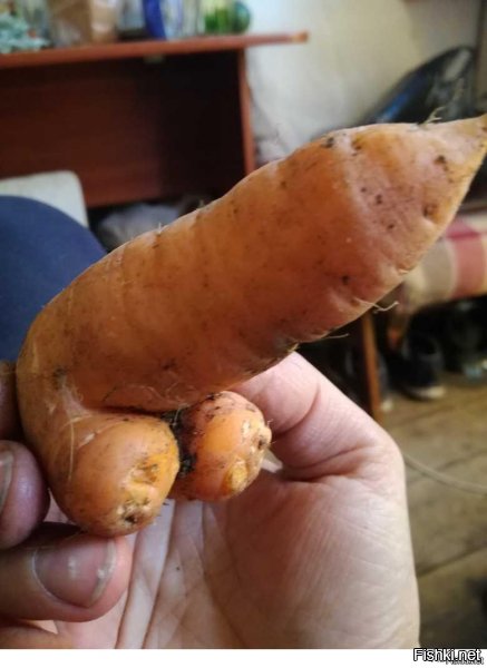 вот такая выросла морковка