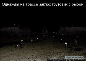 В южной Африке перевернулась фура с пивом