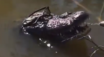 А чё, прикольно!