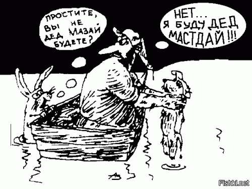 Подборка Гиф смешных кошачих мордочек