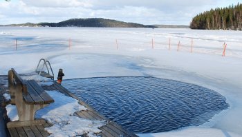 место, где яйца действительно становятся квадратными :)