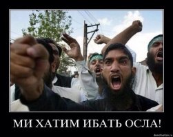 В Австрии запретили носить мусульманские одеяния и закрывать лицо