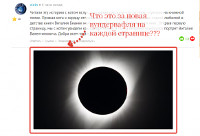 Истории, которые делают нас лучше: серый кот