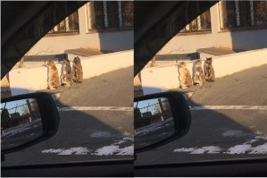 эй, навигаторы, как проехать до Альфы Центавра?