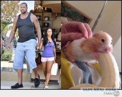 Рост - не помеха: звёздные пары с большой разницей в росте