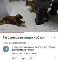 Напомнило