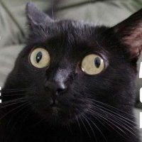 "Тетушка Аби Мустафа Акар повадилась ставить свою машину на площадке, расположенной на противоположной стороне дороги от соседского дома."

Пи*дец описание