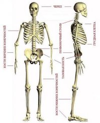 Право на ошибку