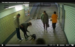 Тот самый случай, когда непонятно на каком конце поводка находится животное facepalm:
Пипец, мне-то почему стыдно когда я такие вещи вижу?!