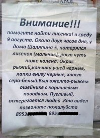 Спасение лисичек из осушенного искусственного водоема