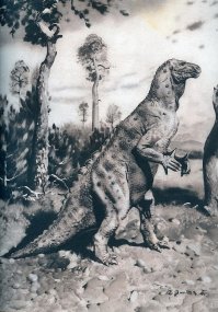 Книга "Монстры. Привидения. НЛО." Оттуда я узнал, что "Мантелл смог составить первую реконструкцию облика динозавра [игуанодон], в которой он допустил несколько ошибок, например, поместил шип, находящийся на большом пальце, в виде рога на нос животного" (рис. 1).
"Затем Луи Долло реконструировал его как сугубо двуногое животное. Таким изобразил его Зденек Буриан" (рис. 2).
А таким он считается сейчас (рис. 3).