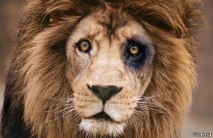 Рост - не помеха: звёздные пары с большой разницей в росте