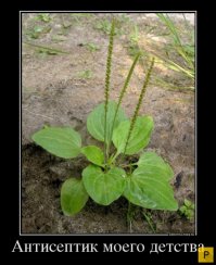 Запись прямого эфира на Fishki.net с хирургом Тарасом Вячеславовичем Нечаем