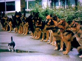 Не факт. Маловероятно, конечно, но вдруг псы тренированные?))