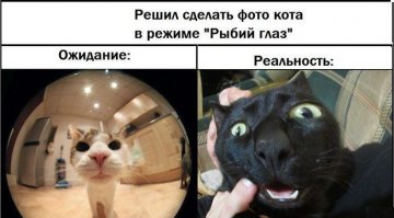 Ожидание и реальность