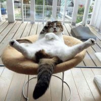 Сочи скучает по Сочи