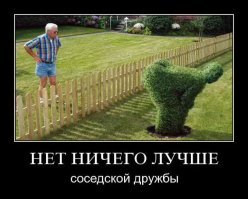 На каком расстоянии от забора на даче можно сажать и строить
