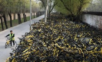 ага! (даже не знаю как парочку обозвать....) НО главное гости!!!!