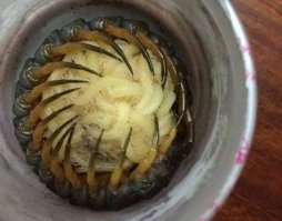 у меня что-то подобное под мойкой в кухне установлено
служит для переработки отходов