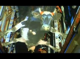 Подборка для любителей фотоприколов и просто прикольных фотографий из сети. Часть 4